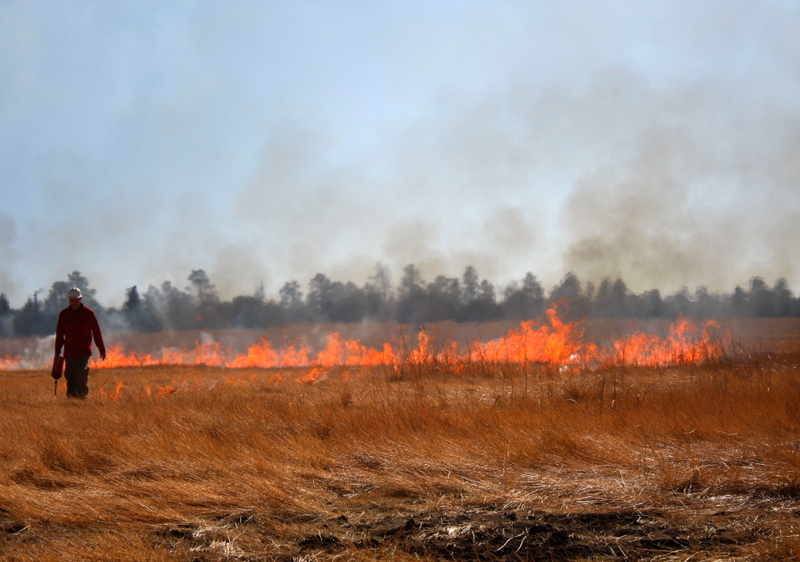 Illustration for article titled Science of the Fiery Dust Devil Spawned by a Controlled Burn